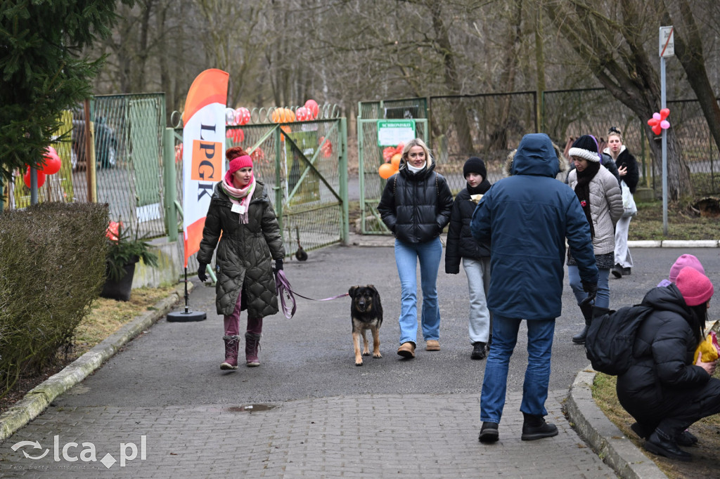 „Walentynki z Bezdomniakiem”