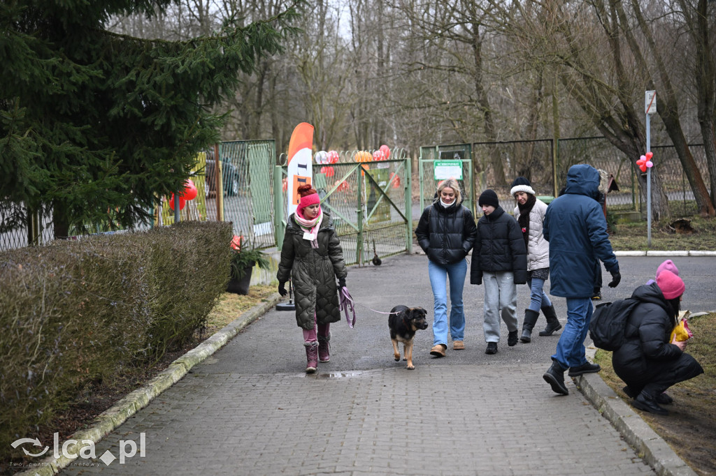 „Walentynki z Bezdomniakiem”