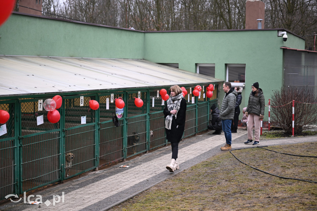 „Walentynki z Bezdomniakiem”