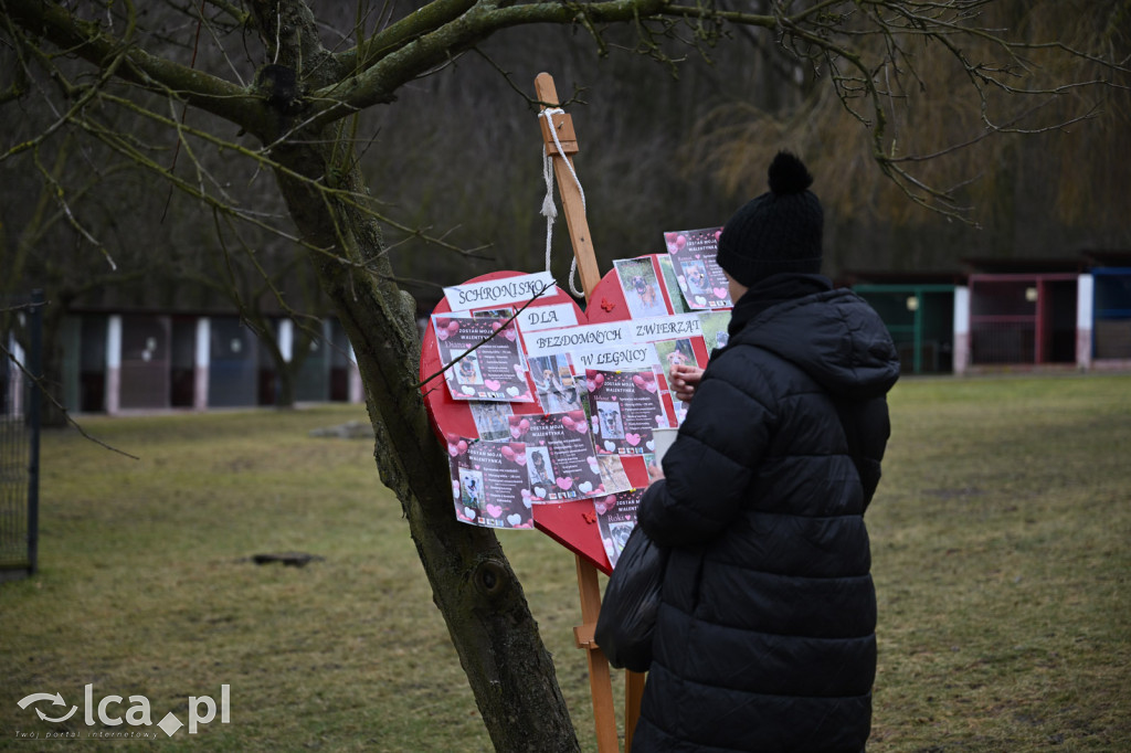 „Walentynki z Bezdomniakiem”