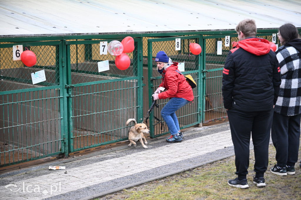 „Walentynki z Bezdomniakiem”