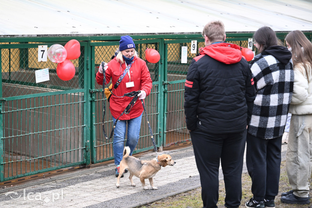 „Walentynki z Bezdomniakiem”