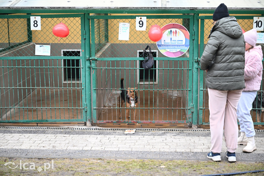 „Walentynki z Bezdomniakiem”