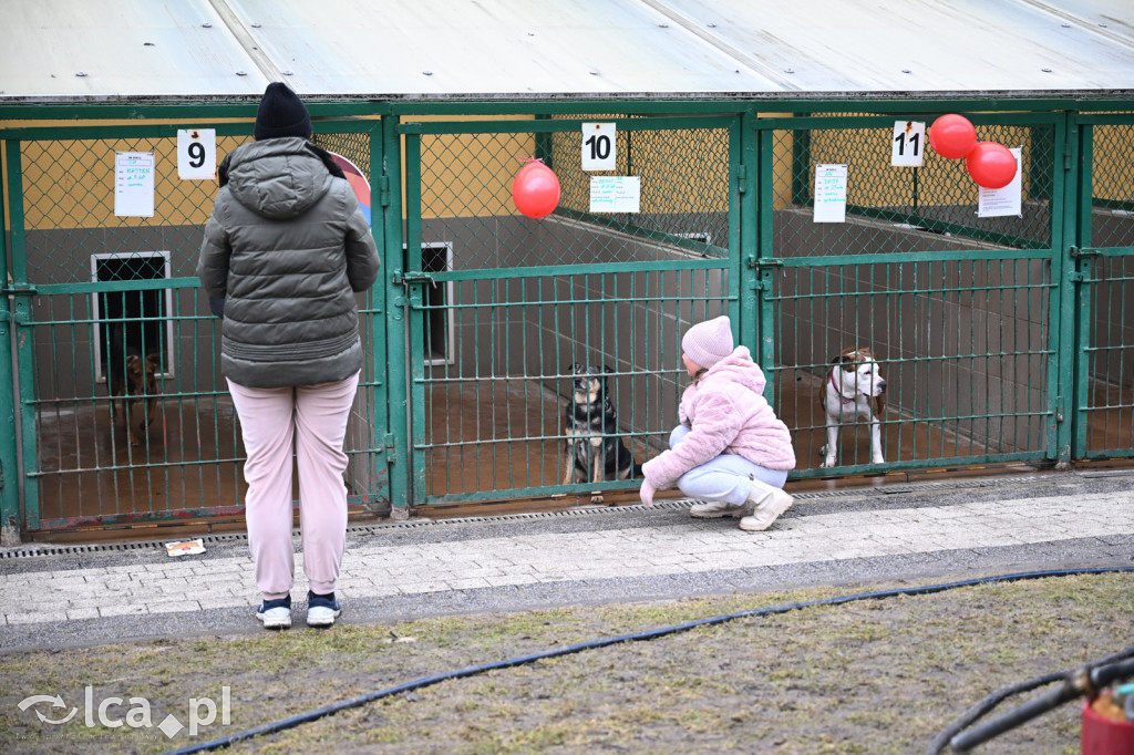 „Walentynki z Bezdomniakiem”