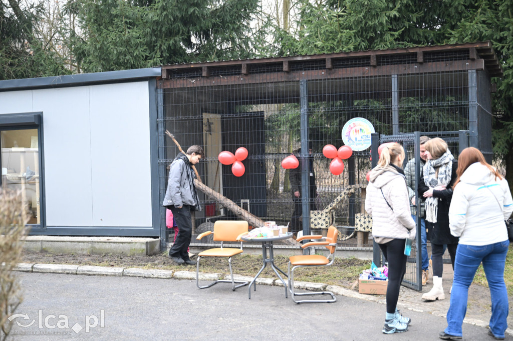 „Walentynki z Bezdomniakiem”