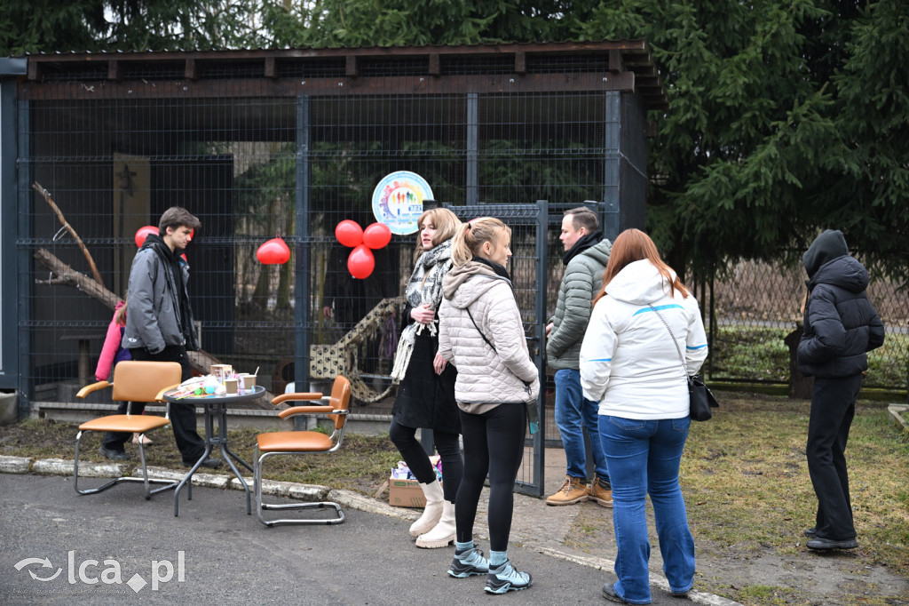 „Walentynki z Bezdomniakiem”
