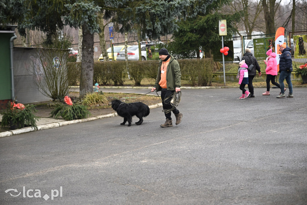 „Walentynki z Bezdomniakiem”