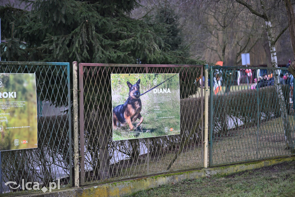 „Walentynki z Bezdomniakiem”