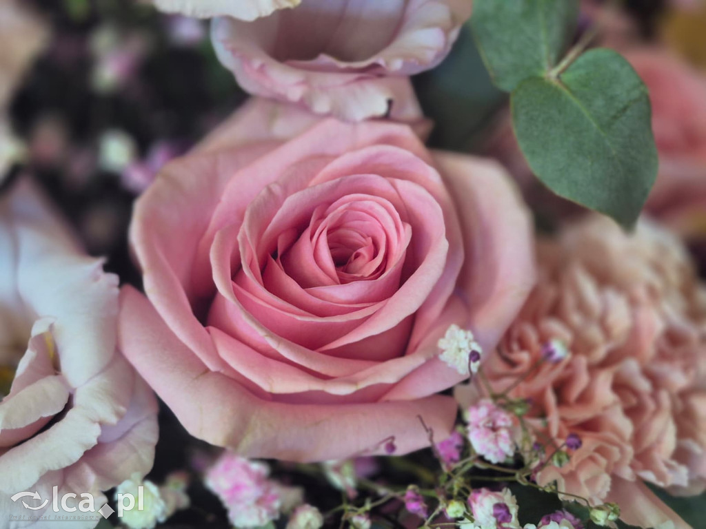 Barbara Engel oddała kardiologię Piotowi Roli