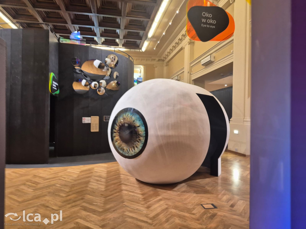 Roboty i AI w Centrum Witelona