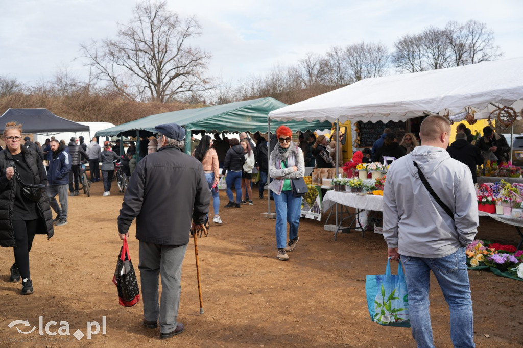 Niedzielne zakupy w Bartoszowie