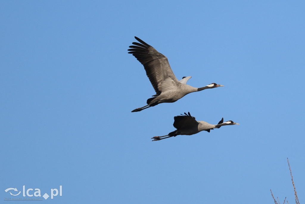 Zacięty bój o punkty w Koskowicach!