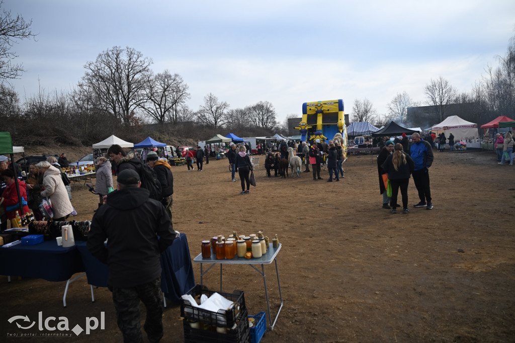 Dawna strzelnica zamieniła się w targ