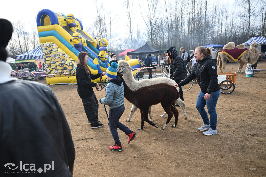 Dawna strzelnica zamieniła się w targ