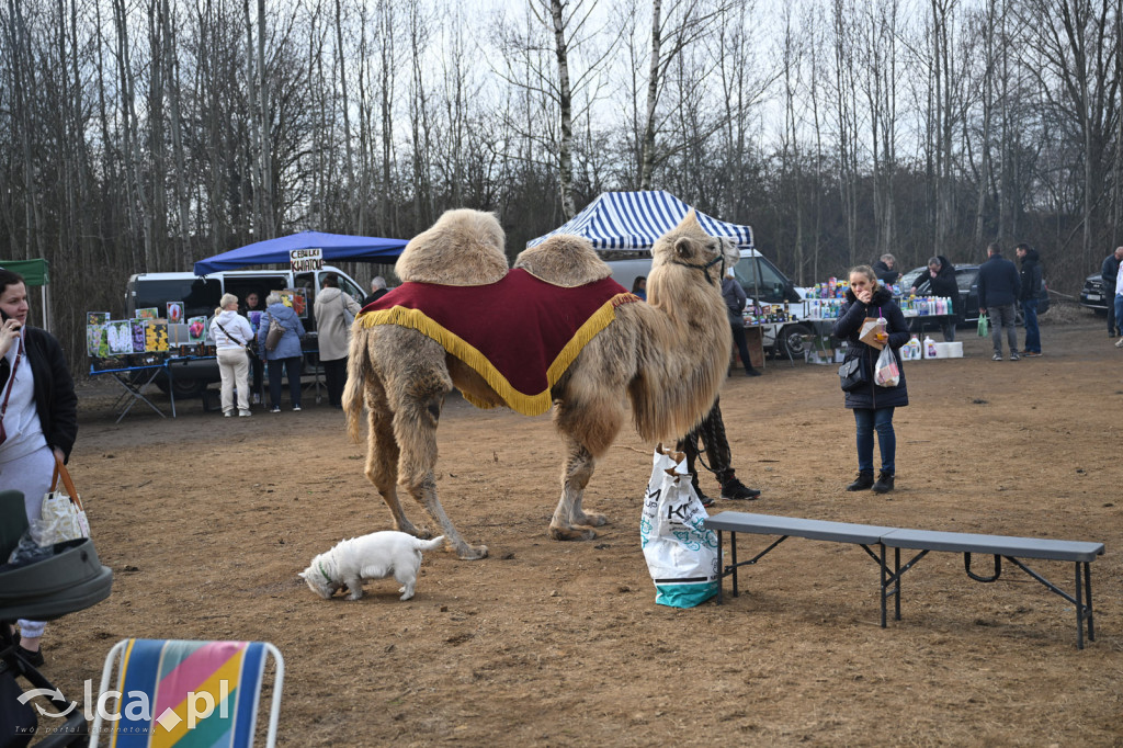Dawna strzelnica zamieniła się w targ