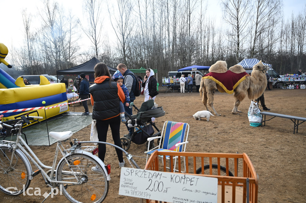 Dawna strzelnica zamieniła się w targ