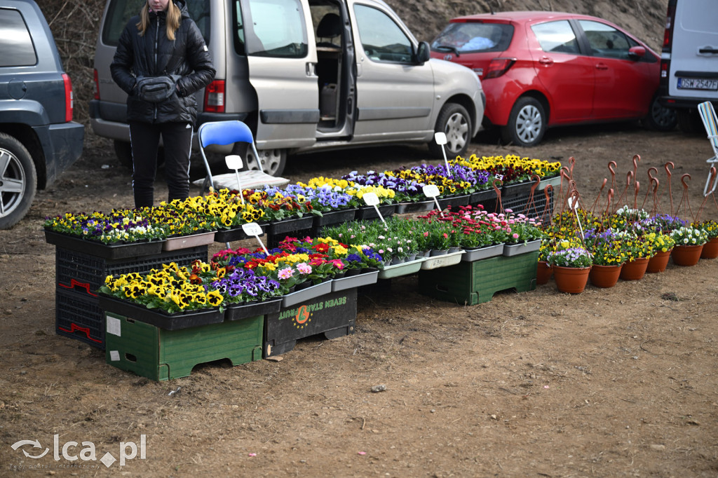 Dawna strzelnica zamieniła się w targ