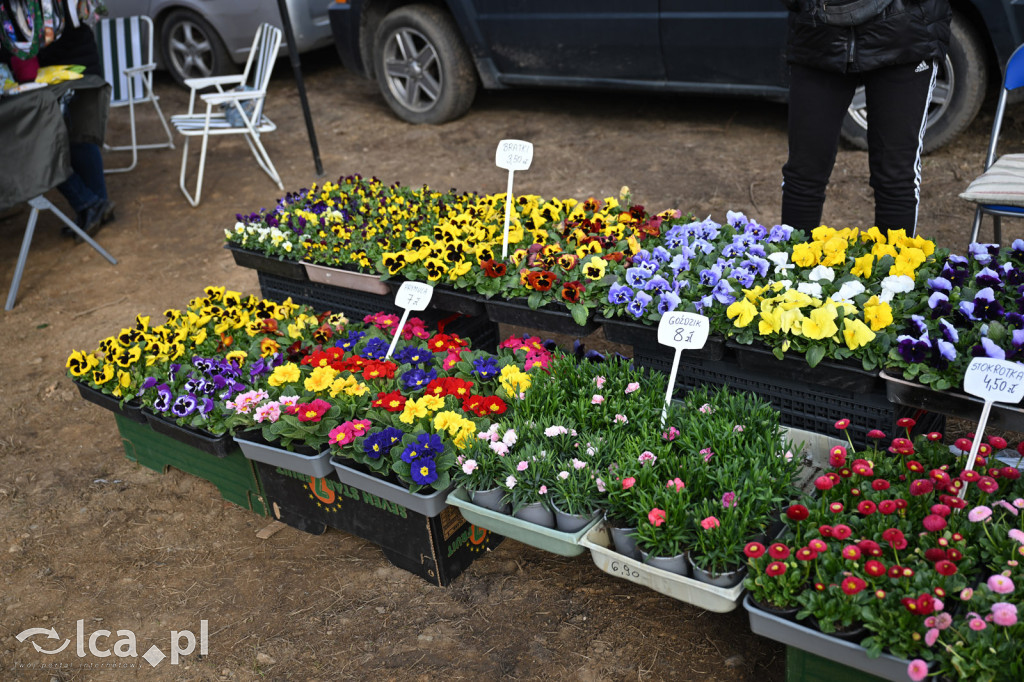Dawna strzelnica zamieniła się w targ