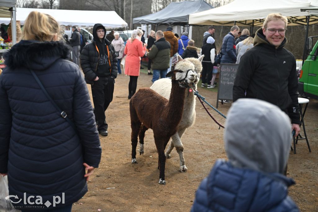 Dawna strzelnica zamieniła się w targ