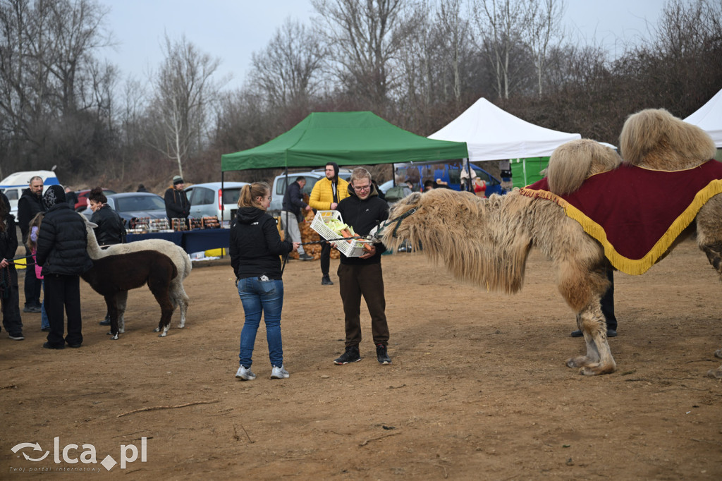 Dawna strzelnica zamieniła się w targ