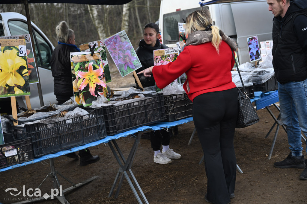 Dawna strzelnica zamieniła się w targ