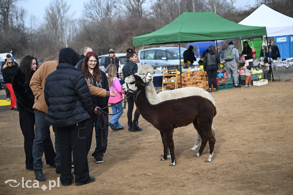 Dawna strzelnica zamieniła się w targ