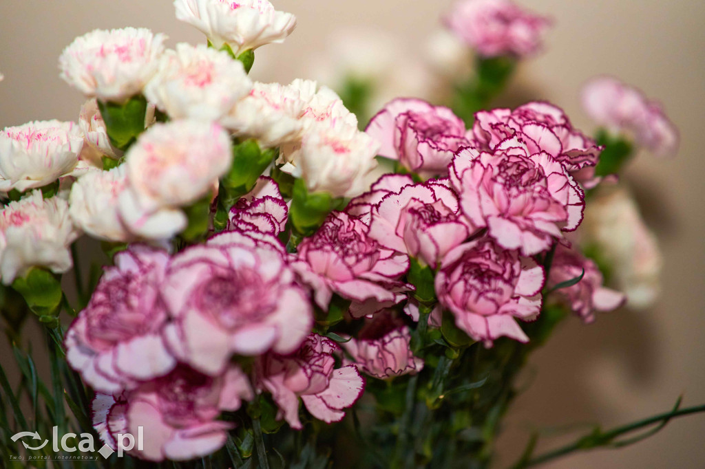 Wyjątkowy wieczór z polską piosenką