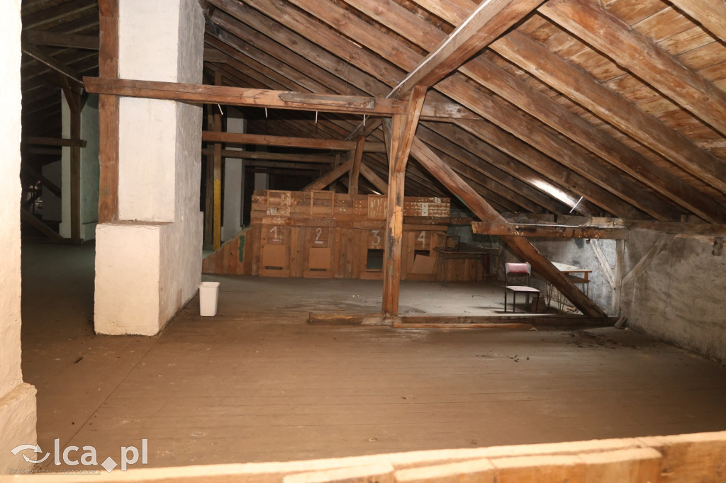 Tajemnice ukryte w belkach stropowych i kryptach