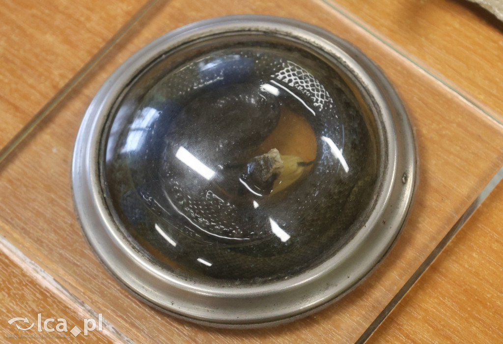 Tajemnice ukryte w belkach stropowych i kryptach