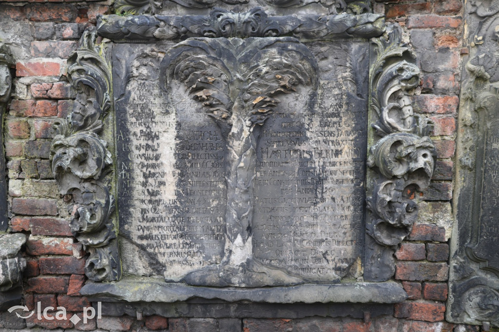 Tajemnice ukryte w belkach stropowych i kryptach