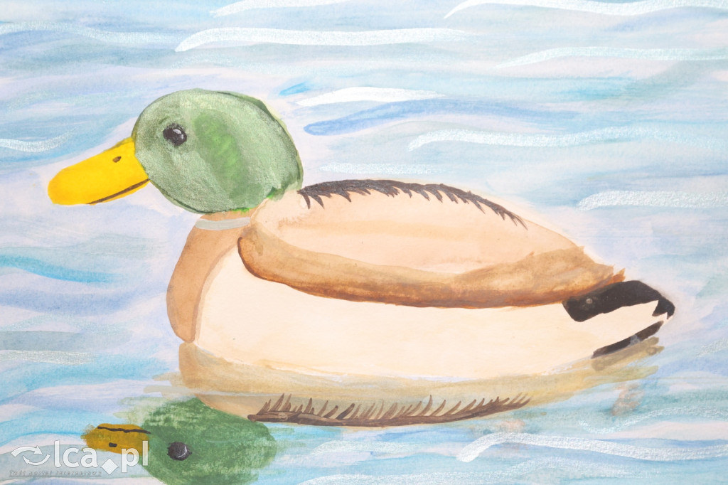 PONAD 500 prac i ocean wyobraźni!