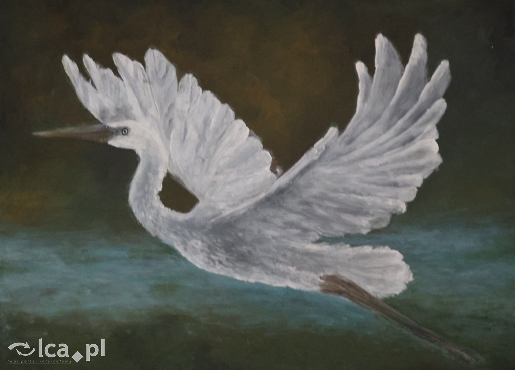 PONAD 500 prac i ocean wyobraźni!