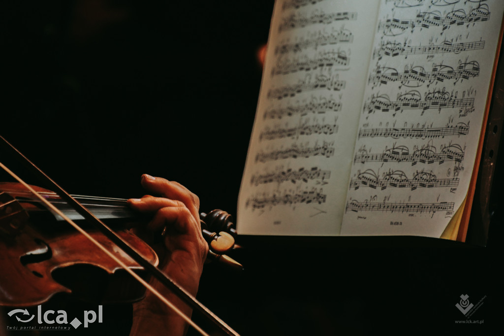 Magia, dreszcze i absolutne arcydzieło! 