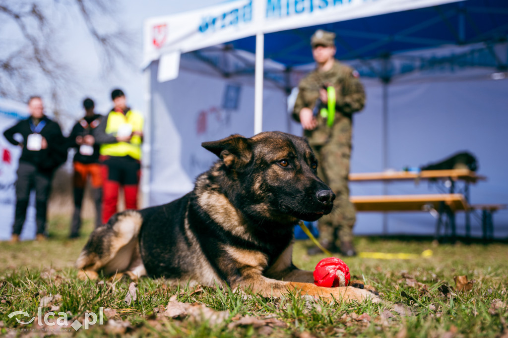 Terytorialsi szkolili i trenowali w terenie