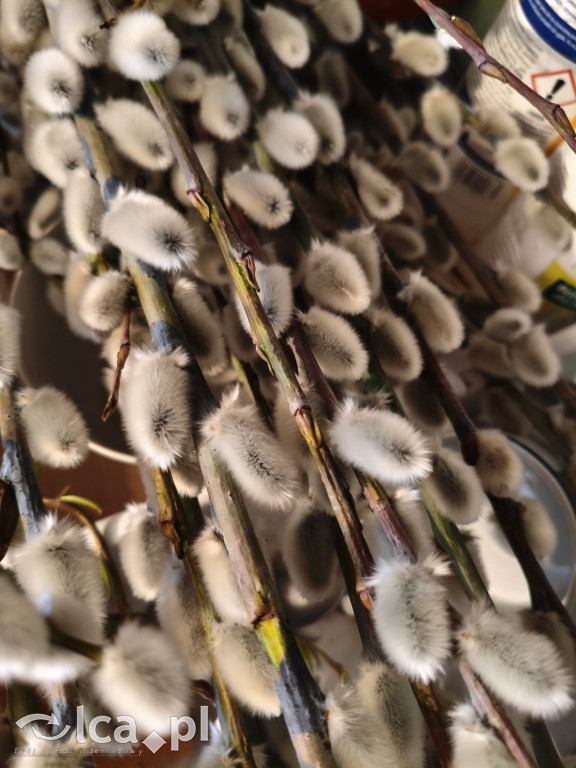 Warsztaty palm wielkanocnych