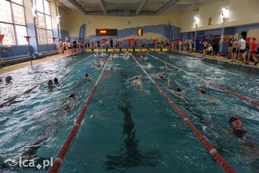 Mistrzostwa Legnicy w Pływaniu cz.2