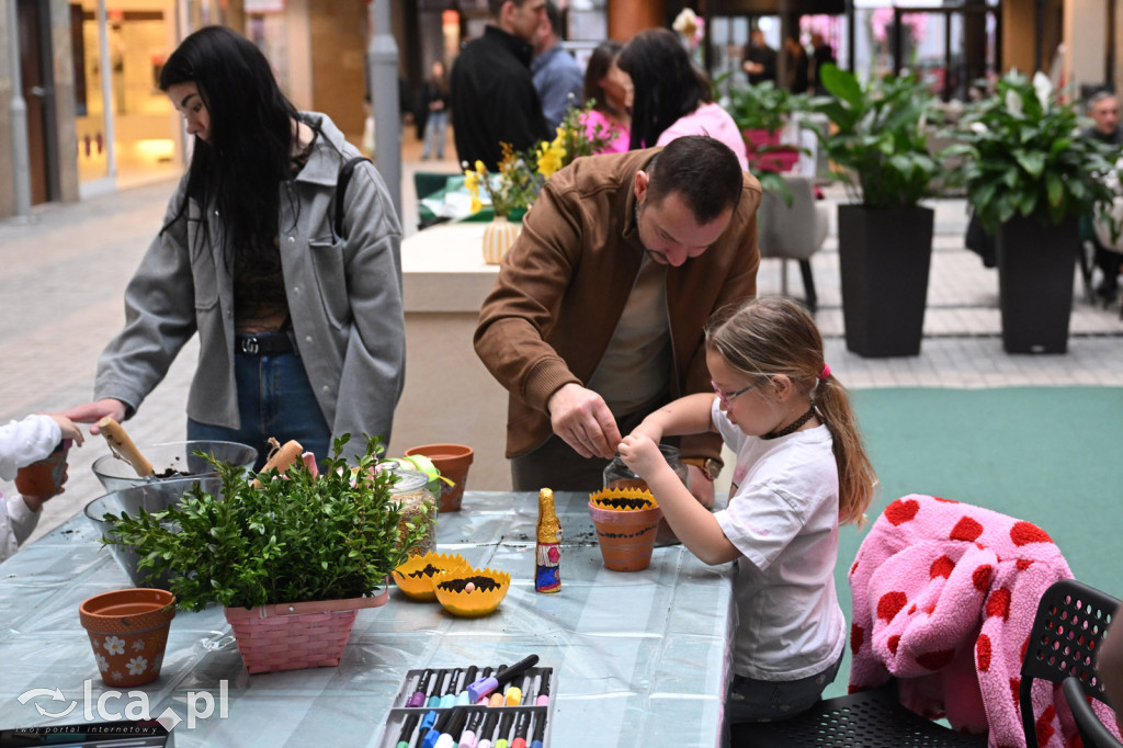 Warsztaty i konkurs w Galerii Piastów