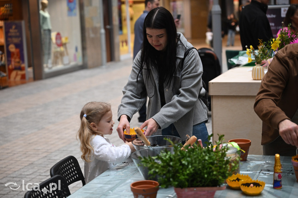 Warsztaty i konkurs w Galerii Piastów