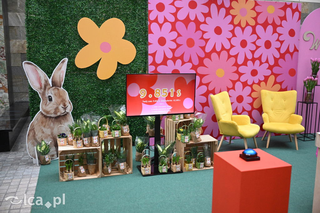 Warsztaty i konkurs w Galerii Piastów