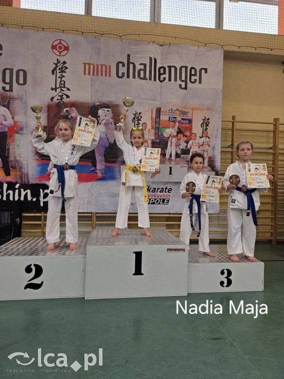 Deszcz medali i 5. miejsce w Polsce