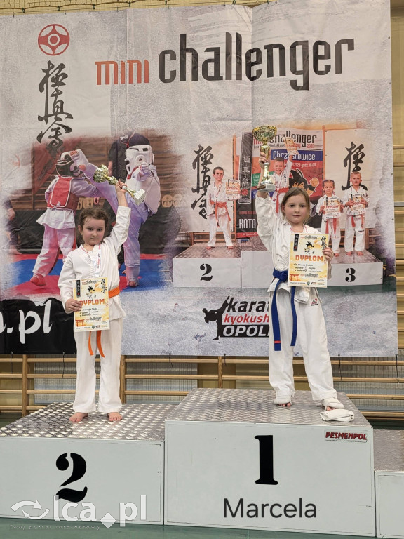 Deszcz medali i 5. miejsce w Polsce