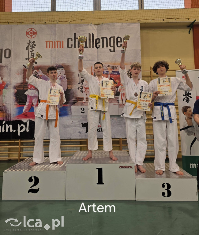 Deszcz medali i 5. miejsce w Polsce