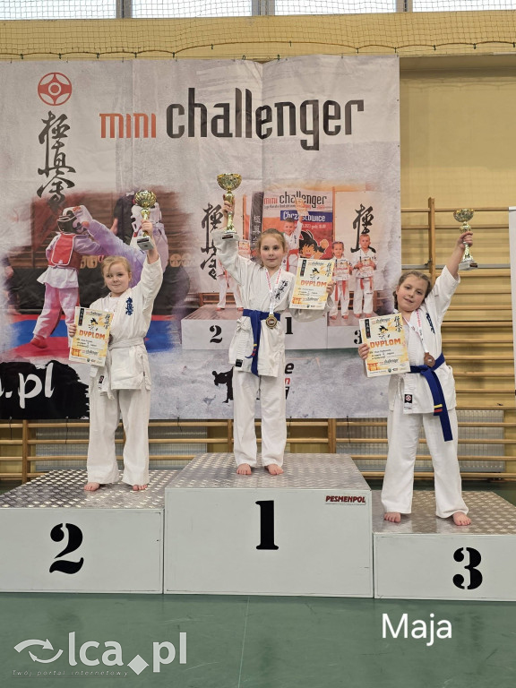 Deszcz medali i 5. miejsce w Polsce