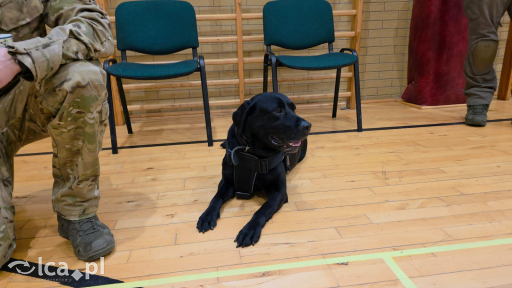 Mundur, pasja i adrenalina