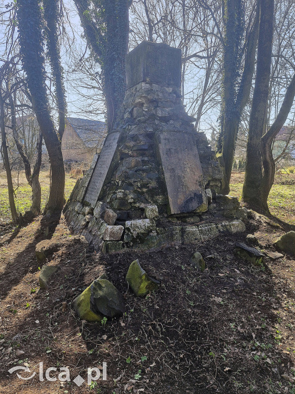 Zapomniany pomnik został uporządkowany