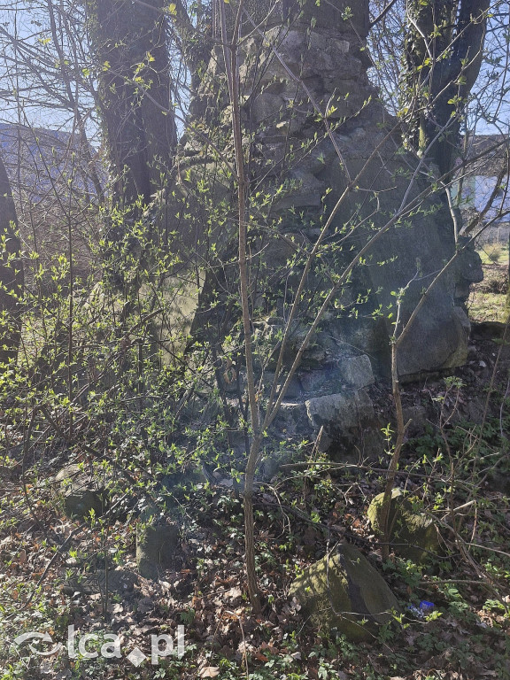 Zapomniany pomnik został uporządkowany