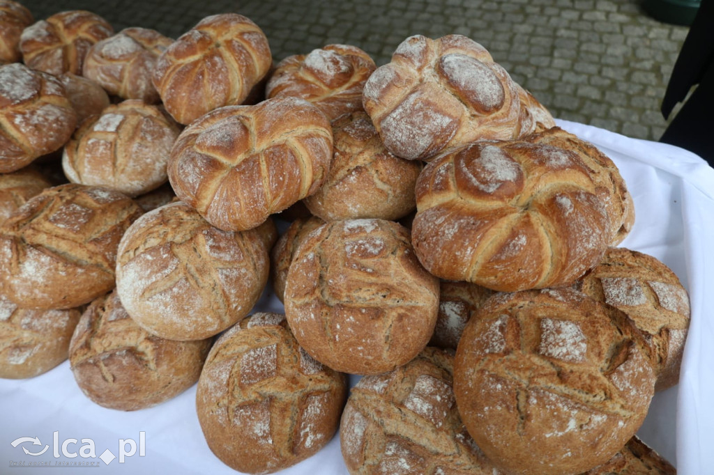 Legnicka Wielkopostna Jałmużna na Rynku