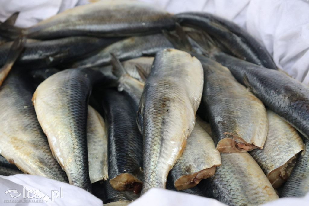 Legnicka Wielkopostna Jałmużna na Rynku