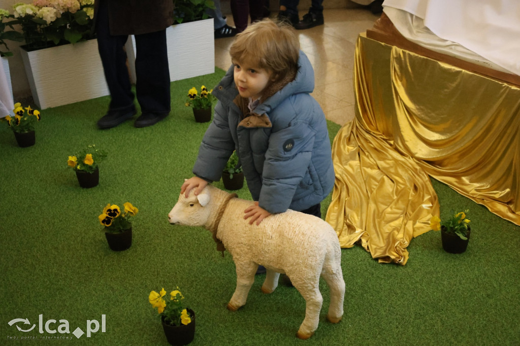 Przejmująca cisza, czerwone szaty i tłumy wiernych