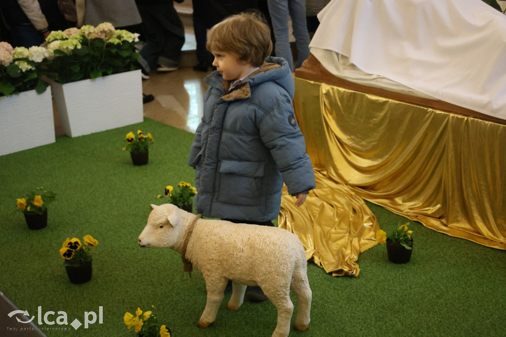 Przejmująca cisza, czerwone szaty i tłumy wiernych